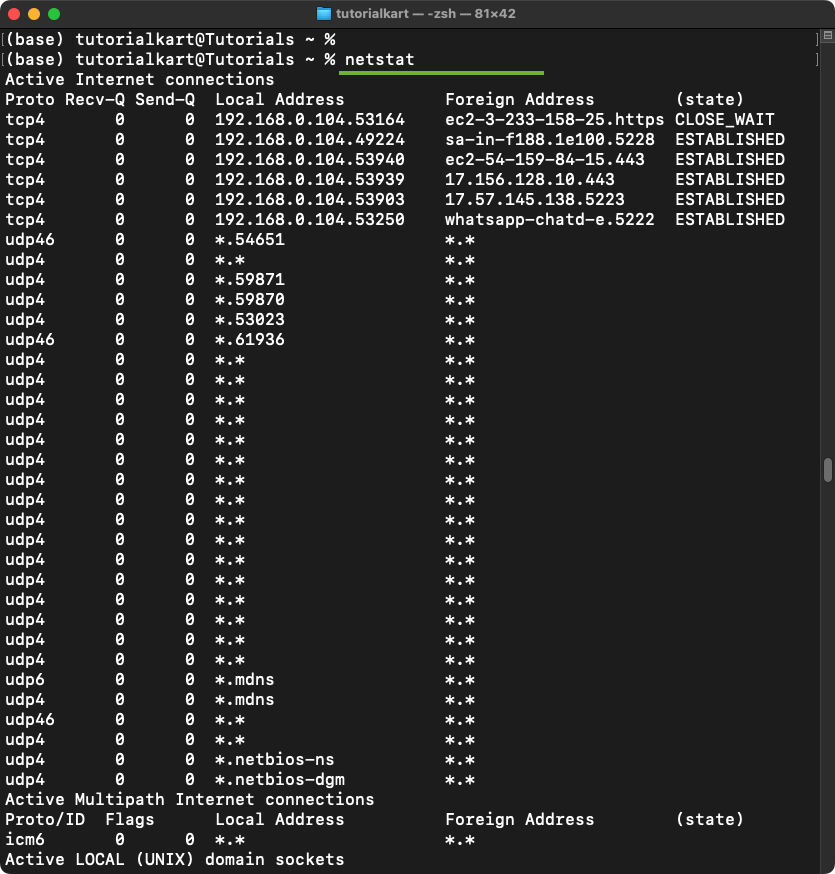 Check Network Connections Using Netstat